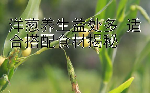 洋葱养生益处多 适合搭配食材揭秘